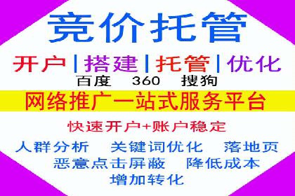 百度推广费用投入与用户转化路径的优化案例
